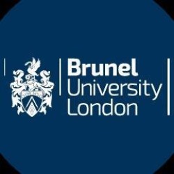 Accountancy BSc - Brunel University London Accountancy BSc - Brunel University London