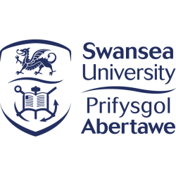 Accounting with a Foundation Year, BSc (Hons) - Swansea University